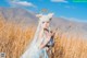 A woman in a white dress standing in a field of tall grass.